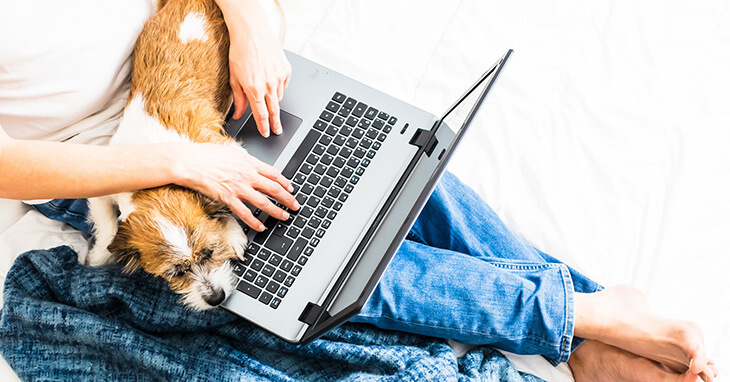 5 Ways Your Dog Can Keep You On-Task During Remote Work