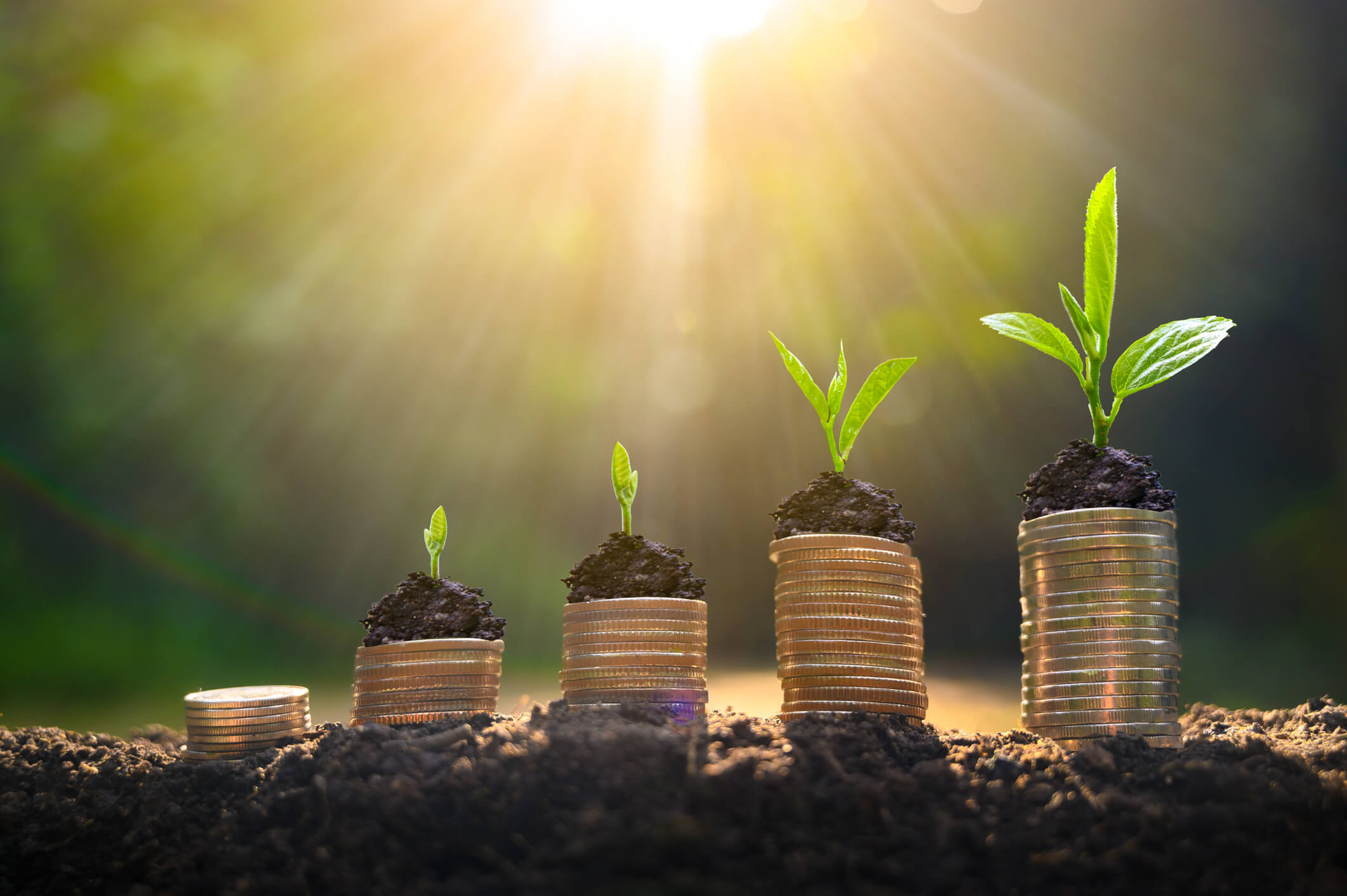 How Outsourced HR Can Help Grow Your Business