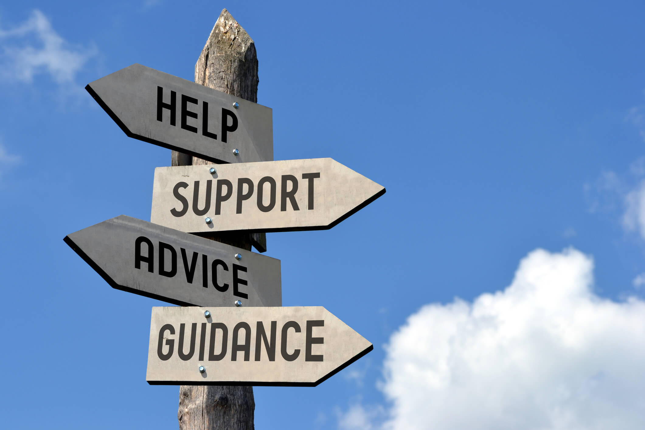 Is My PEO Giving Me Enough Support?